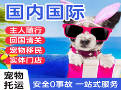 龙湾航空运输国际宠物托运 【国